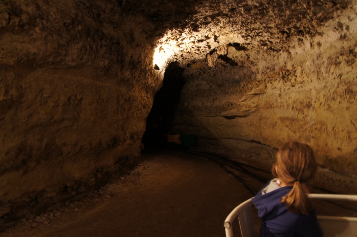 Dans la grotte de Rouffignac. - Rouffignac-Saint-Cernin-de-Reilhac