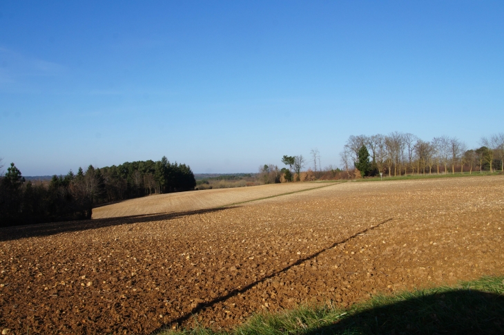 Dans les environs. - Rouffignac-Saint-Cernin-de-Reilhac