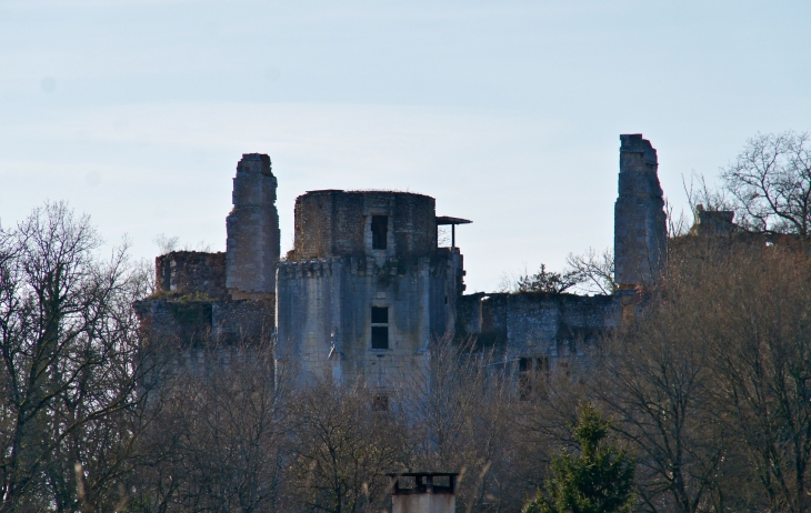 Ruines du Château de l'Herm. - Rouffignac-Saint-Cernin-de-Reilhac