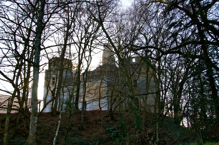 Château de l'herm du XVIe siècle. - Rouffignac-Saint-Cernin-de-Reilhac