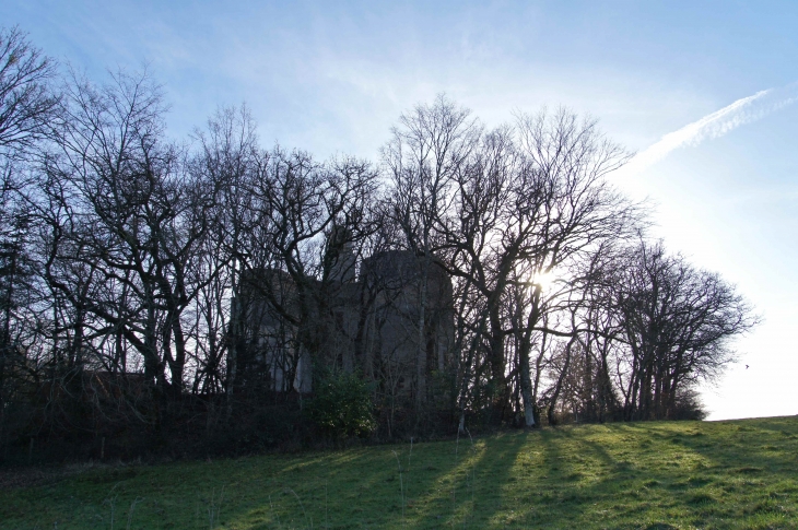 Le Château de l'Herm. - Rouffignac-Saint-Cernin-de-Reilhac