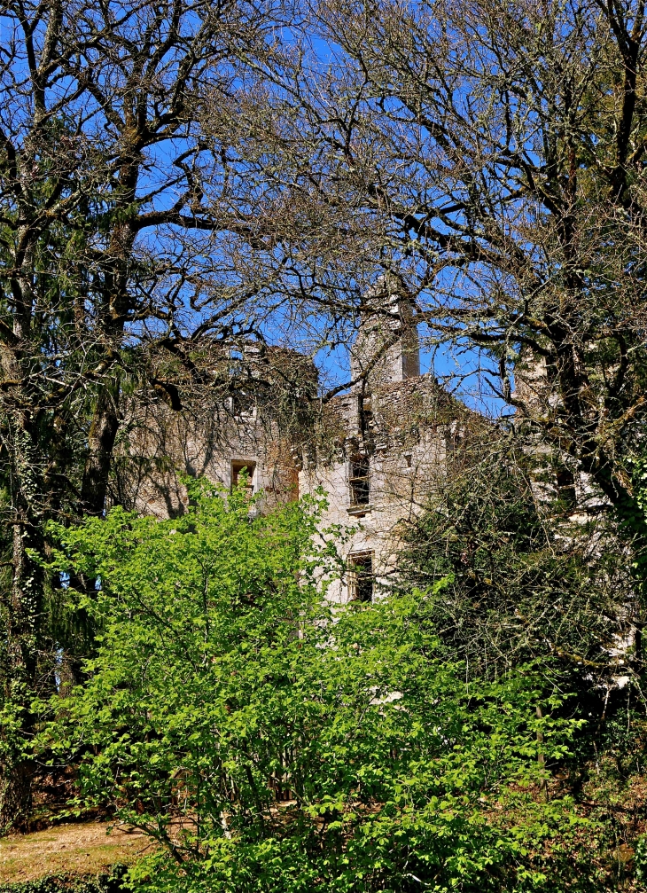 Chateau de l'Herm - Rouffignac-Saint-Cernin-de-Reilhac