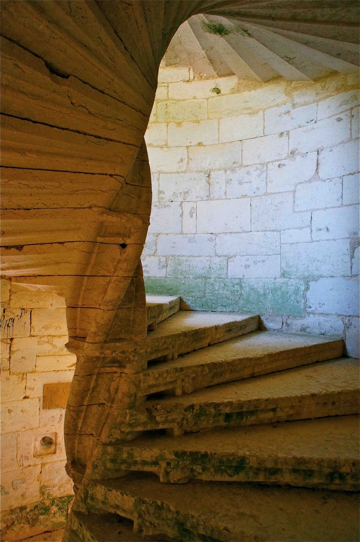 Château de l'Herm - Rouffignac-Saint-Cernin-de-Reilhac