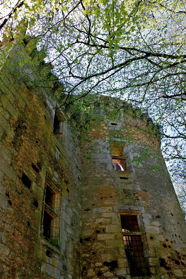 Chateau de l'Herm - Rouffignac-Saint-Cernin-de-Reilhac