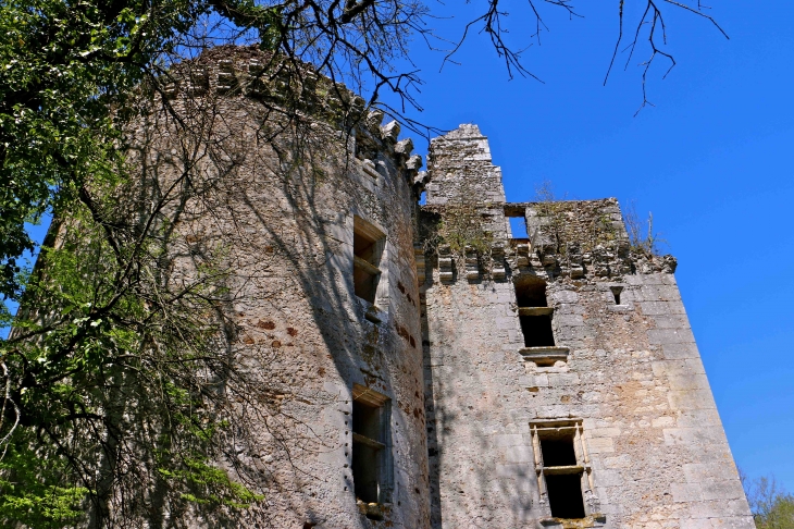 Chateau de l'Herm - Rouffignac-Saint-Cernin-de-Reilhac