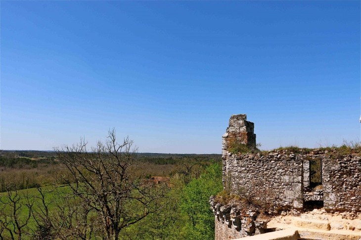 Chateau de l'Herm - Rouffignac-Saint-Cernin-de-Reilhac