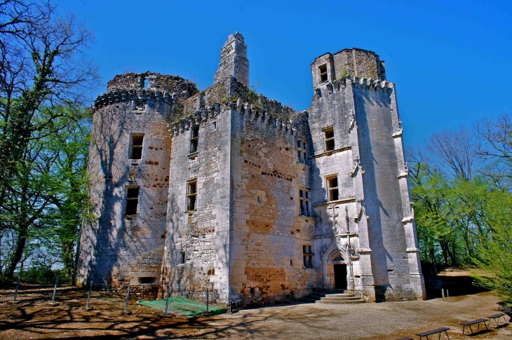 Chateau de l'Herm - Rouffignac-Saint-Cernin-de-Reilhac