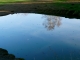 Photo suivante de Rouffignac-Saint-Cernin-de-Reilhac Au château de l'herm.