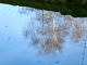 Photo suivante de Rouffignac-Saint-Cernin-de-Reilhac Reflet de bouleaux auchâteau de l'Herm.