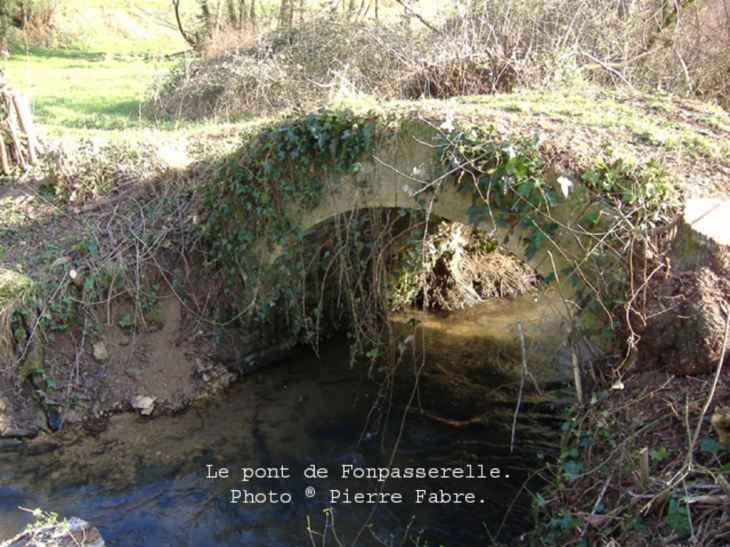 Pont de Fonpasserelle - Sagelat