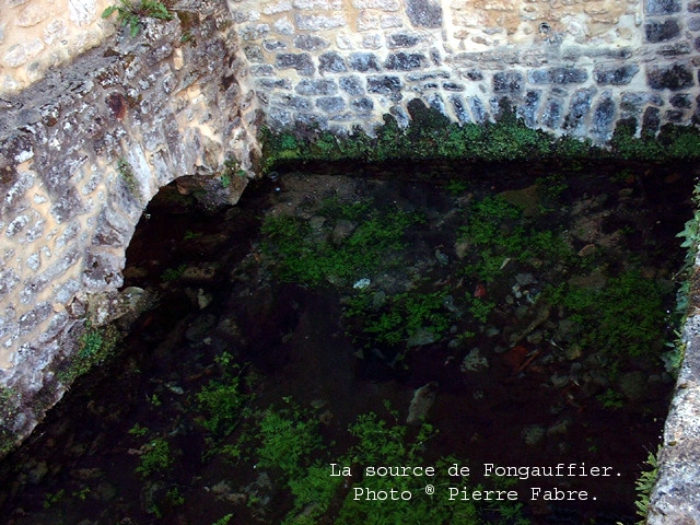 La source de Fongauffier - Sagelat