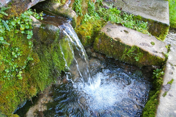 Source du Lavoir-bassin - Saint-Agne