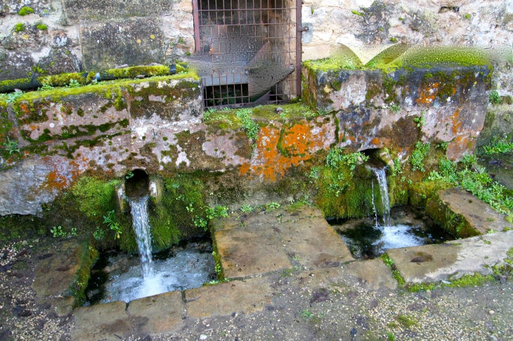 Source du Lavoir-bassin - Saint-Agne