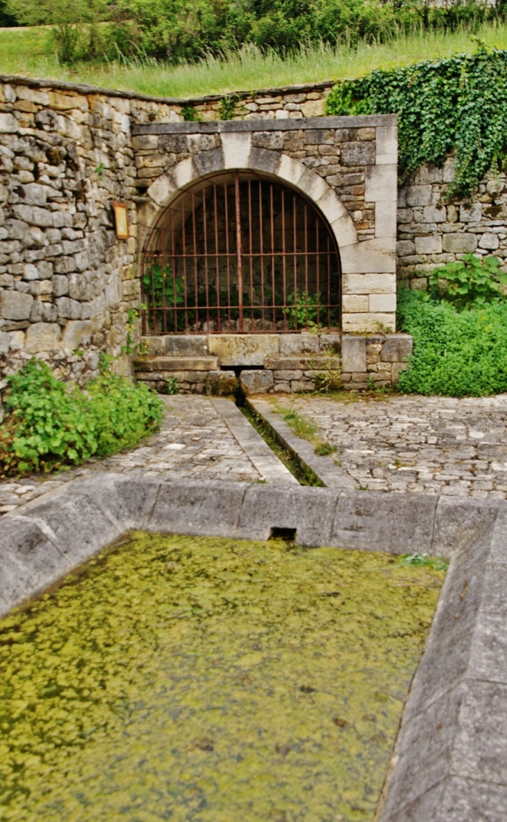 Lavoir de l'Hôpital - Saint-Amand-de-Coly