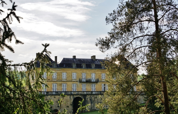  Château du Roc - Saint-André-d'Allas