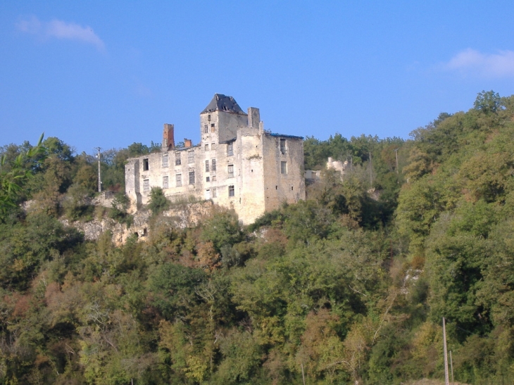 Château du Repaire - Saint-Aubin-de-Nabirat