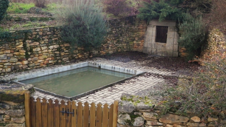 Le lavoir et la fontaine. - Saint-Avit-de-Vialard