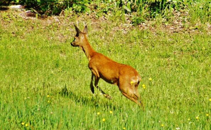 Belle rencontre - Saint-Avit-de-Vialard