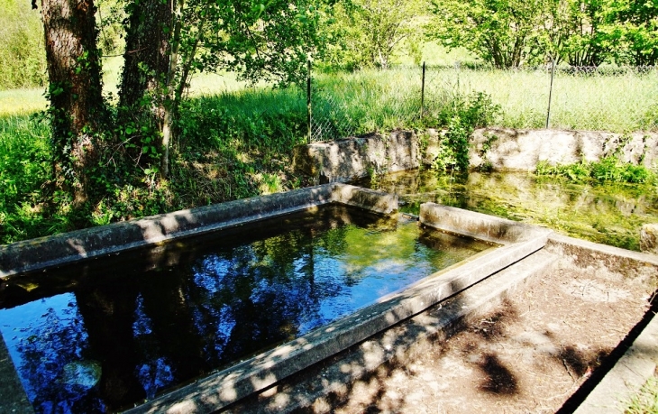 Lavoir - Saint-Avit-Rivière