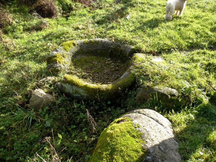 Petite-auge-en-granit-pour-filtrer-la-source-qui-alimente-le-puits pour le lavoir de Villechalane. - Saint-Barthélemy-de-Bussière