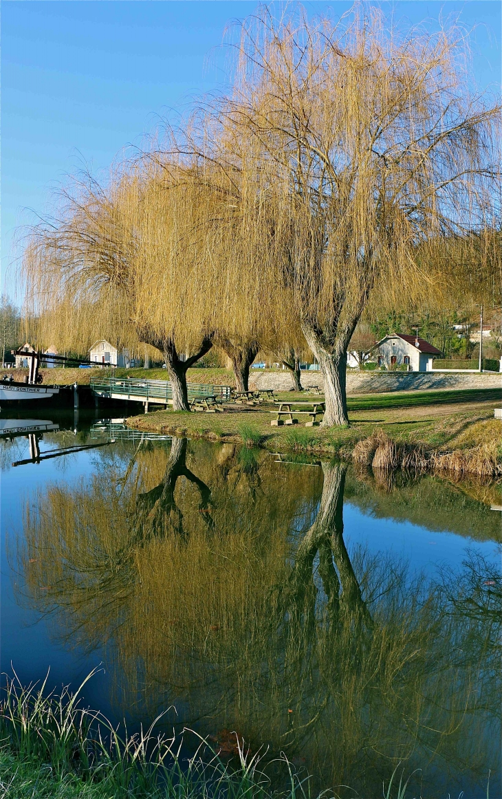 Reflet de Saules dans le canal de Lalinde. - Saint-Capraise-de-Lalinde