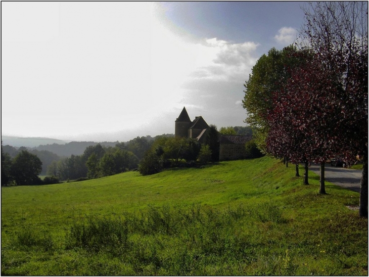 Le vallon qui descend vers La Carambole - Saint-Chamassy