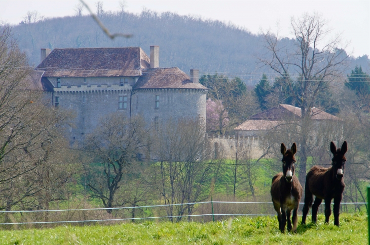 Aux alentours le château de la Barde - XVe et XVIIe siècles. - Saint-Crépin-de-Richemont