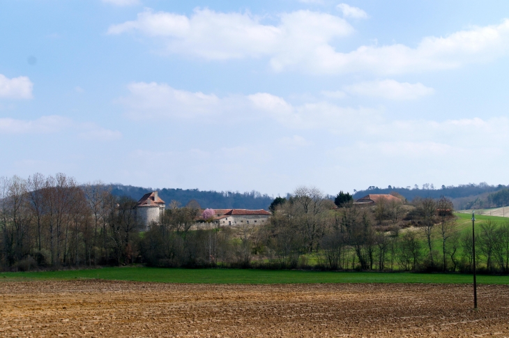 Aux alentours - Coté ouest, la tour et les dépendances du château de la Barde. - Saint-Crépin-de-Richemont