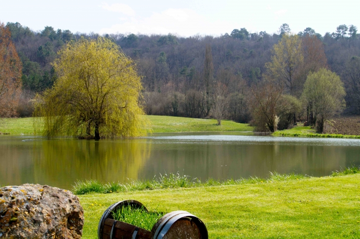 L'étang. - Saint-Crépin-de-Richemont