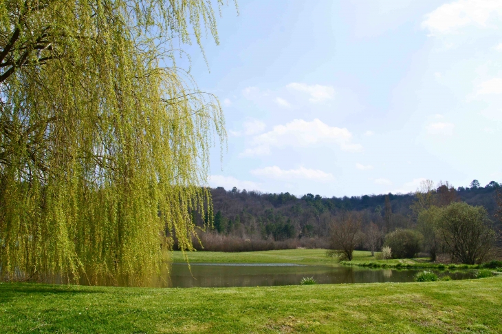 L'étang. - Saint-Crépin-de-Richemont