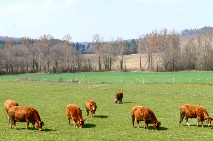 Aux alentours. - Saint-Crépin-de-Richemont