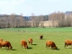 Photo précédente de Saint-Crépin-de-Richemont Aux alentours.