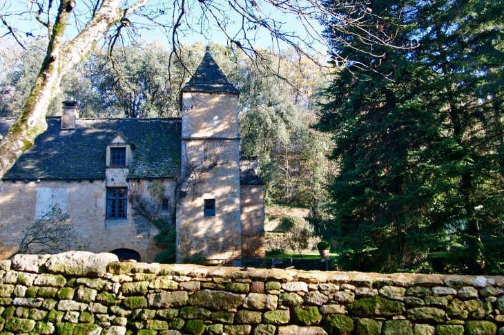 Une aile du château de Cipières. - Saint-Crépin-et-Carlucet