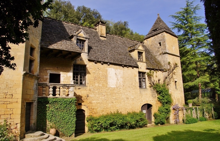 Château de Lacypierre - Saint-Crépin-et-Carlucet