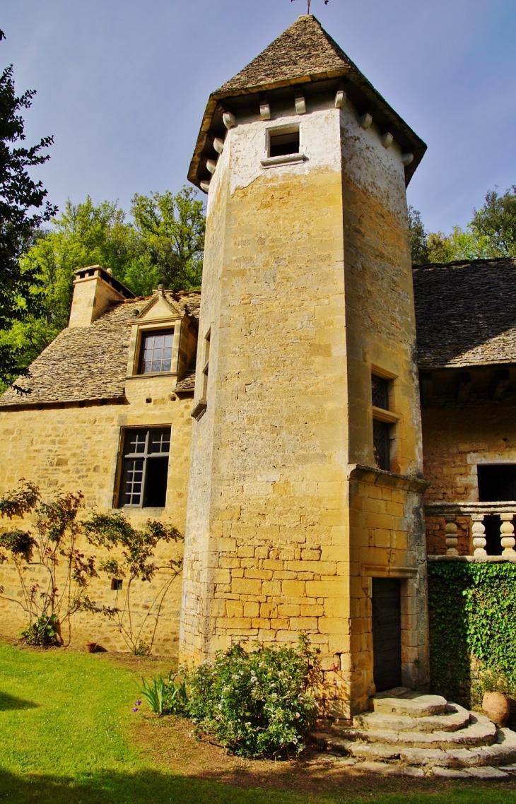 Château de Lacypierre - Saint-Crépin-et-Carlucet