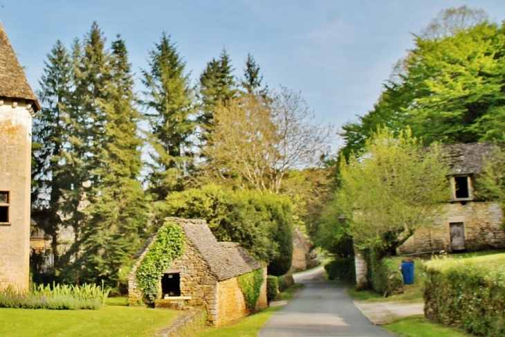 Château de Lacypierre - Saint-Crépin-et-Carlucet