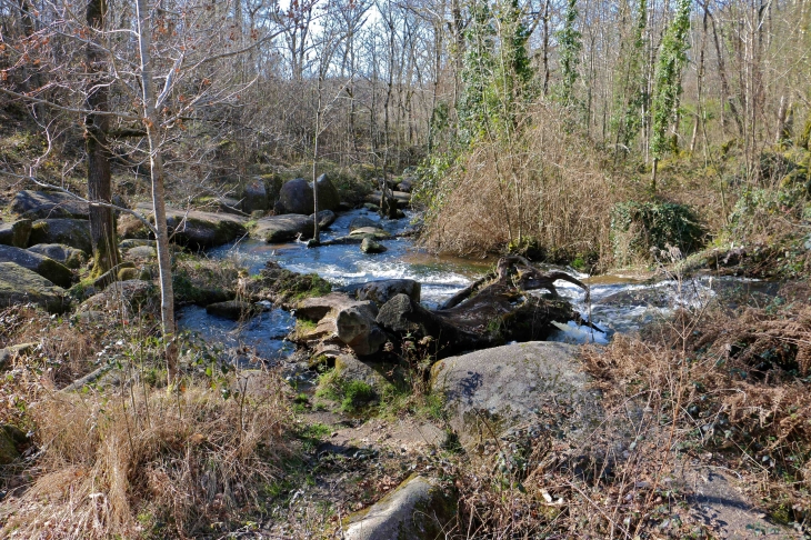 Au site du Roc Branlant. - Saint-Estèphe