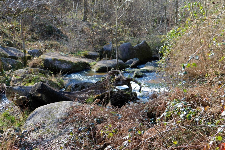 Au site du Roc Branlant. - Saint-Estèphe