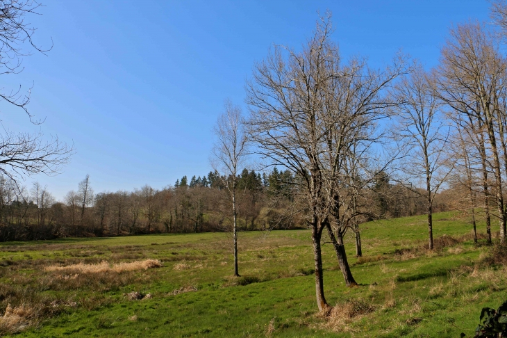 Aux alentours. - Saint-Estèphe