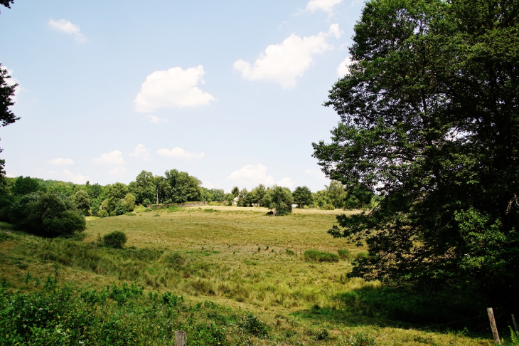 La Campagne - Saint-Estèphe