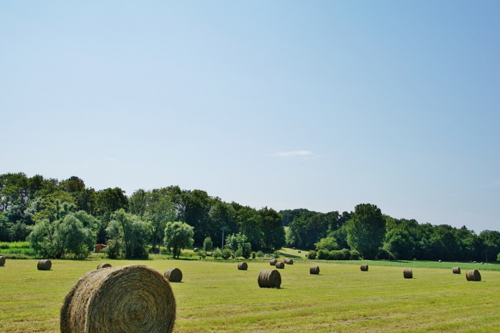 La Campagne - Saint-Front-d'Alemps