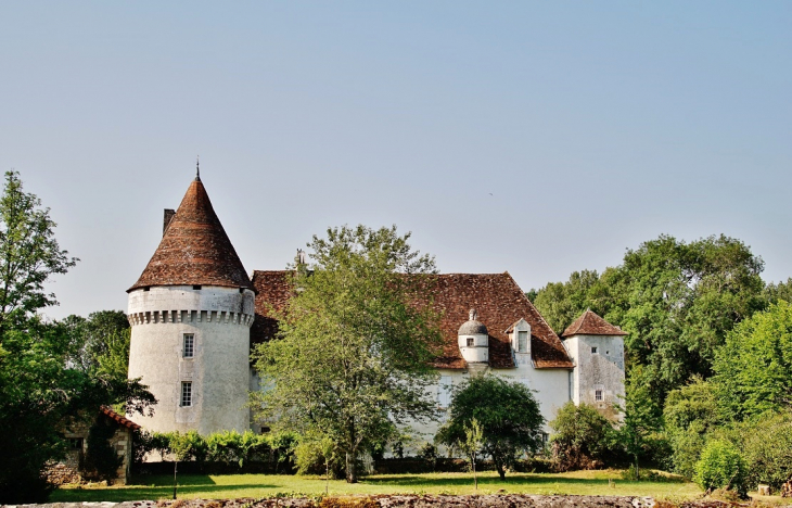 Château  - Saint-Front-la-Rivière