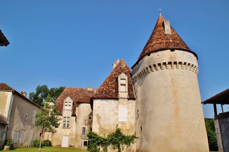 Château  - Saint-Front-la-Rivière