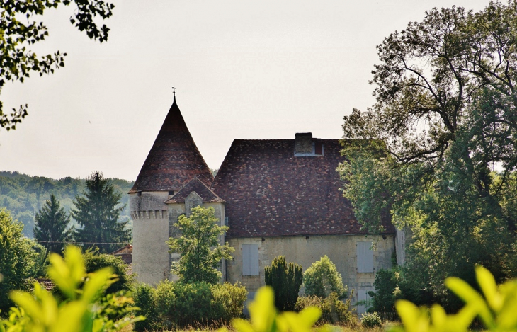 Château  - Saint-Front-la-Rivière