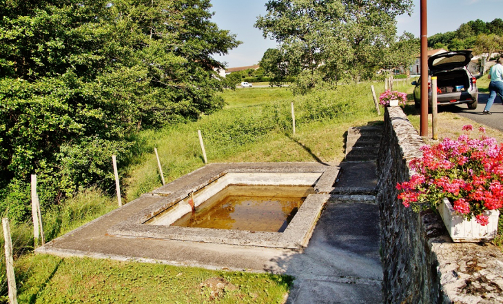 Le Lavoir - Saint-Front-sur-Nizonne