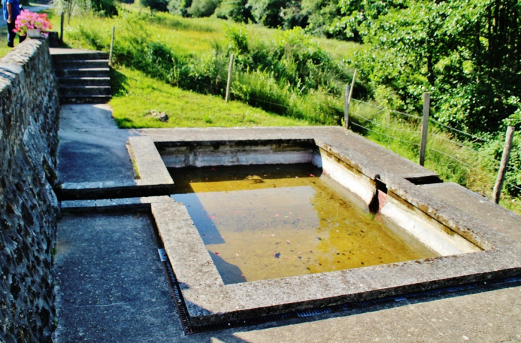 Le Lavoir - Saint-Front-sur-Nizonne