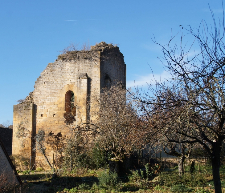 Les vestiges du Donjon. - Saint-Geniès