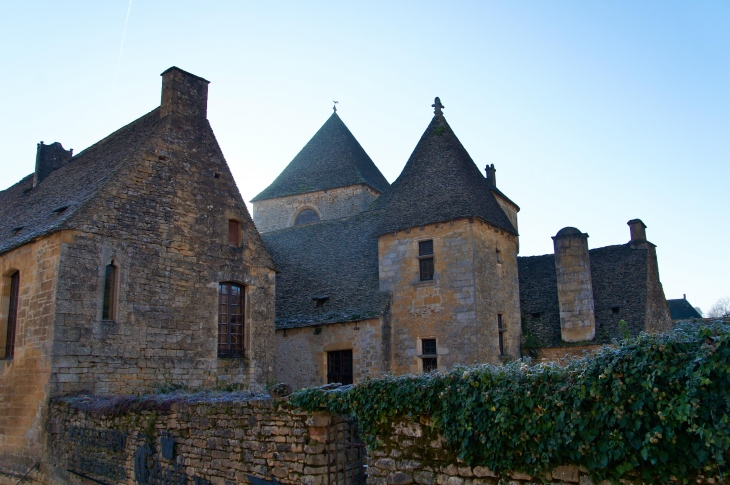 Toitures du-chateau-du-xiie-et-xvie-siecles - Saint-Geniès