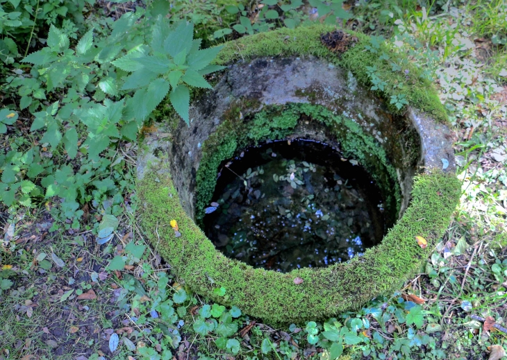 La fontaine des léberous - Saint-Georges-de-Montclard