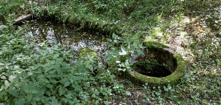 La fontaine des léberous - Saint-Georges-de-Montclard